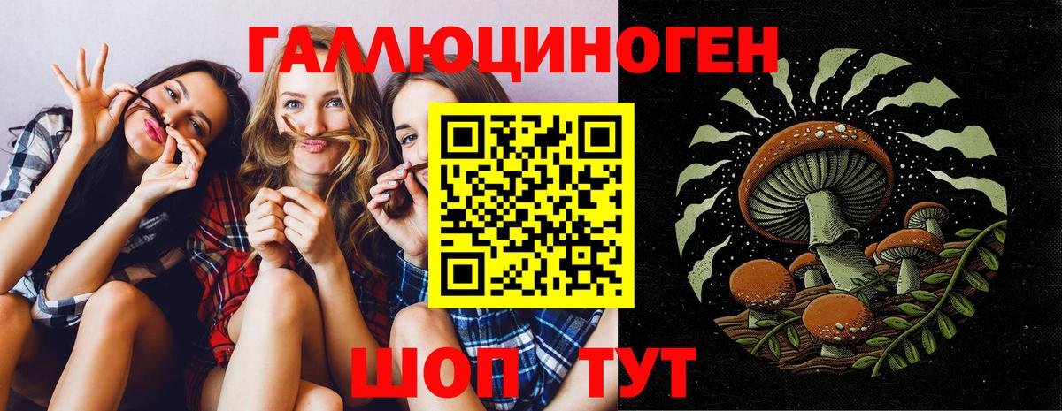 Галлюциногенные грибы Cubensis Великие Луки