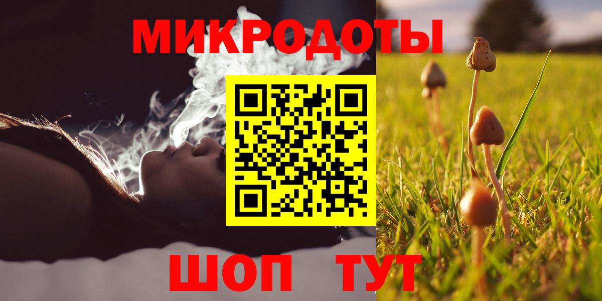 Великие Луки  Псилоцибиновые грибы Psilocybine cubensis  Вход с VPN 